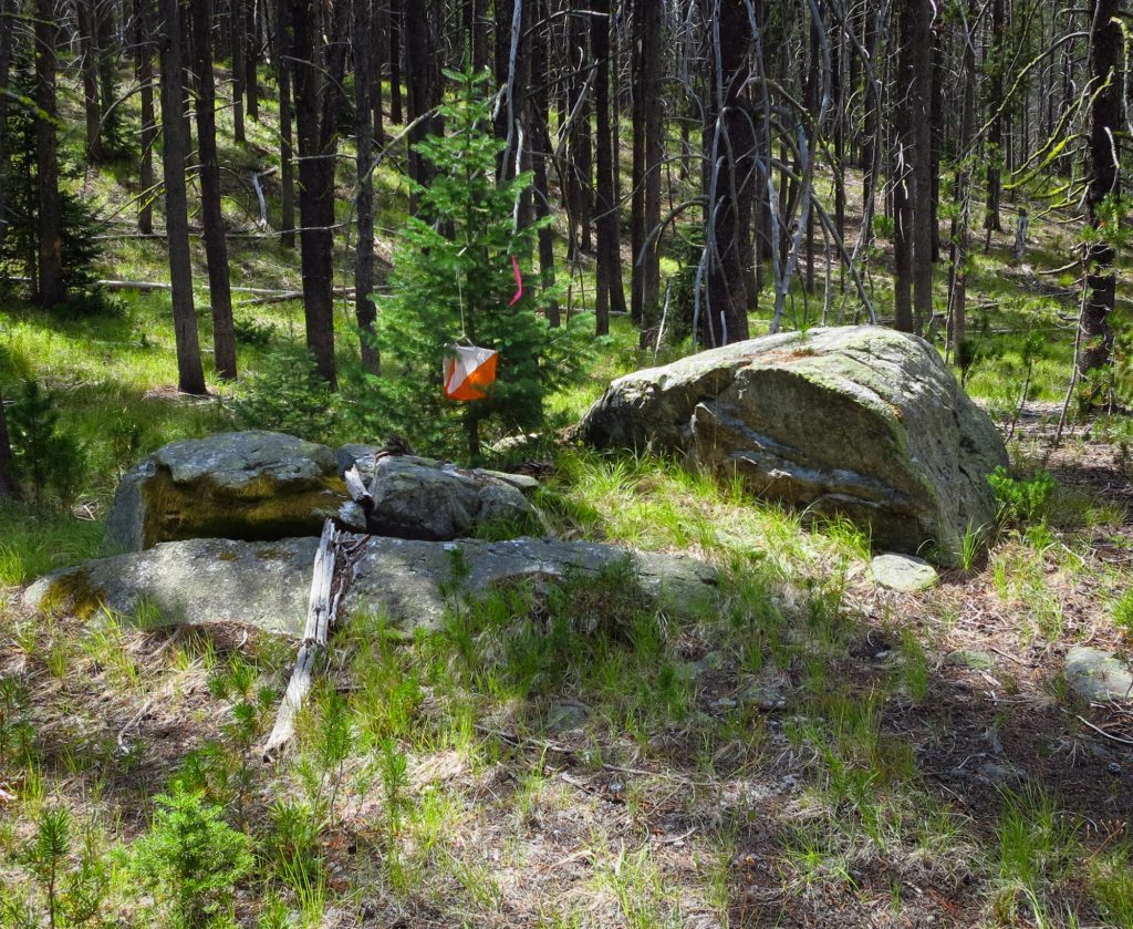 Orienteering flag in Idaho